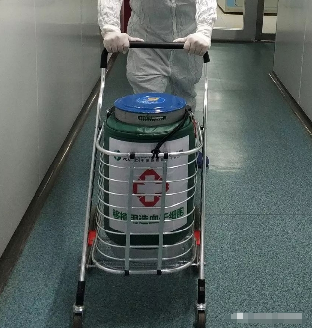 使用東亞系列液氮罐轉(zhuǎn)運中